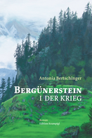 Das Cover von Bergünerstein I. Eine Berglandschaft mit Wald und wolkigem Wetter.
